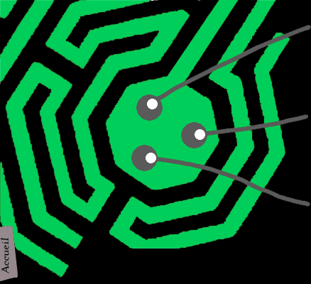 Au coeur du labyrinthe